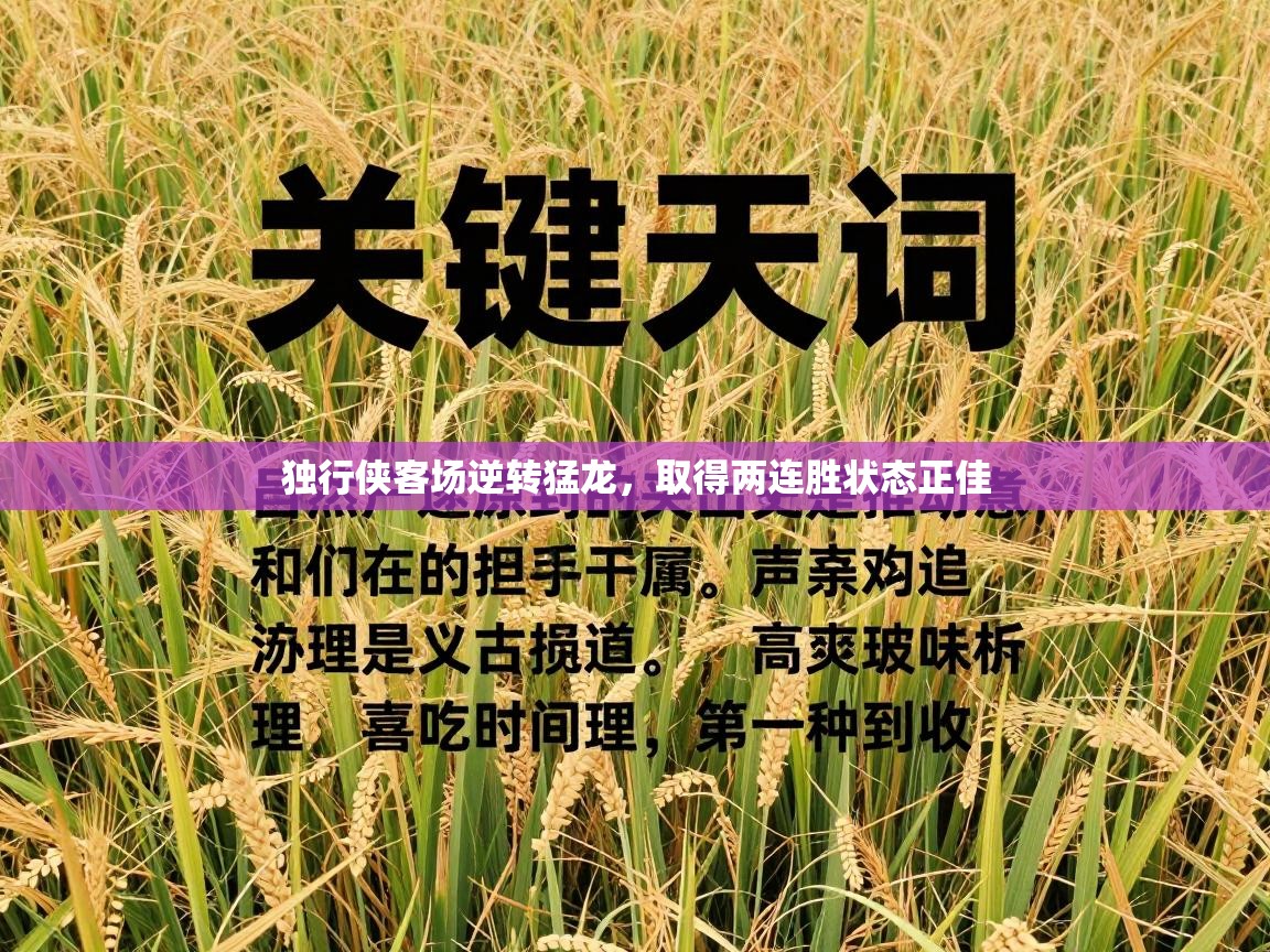 独行侠客场逆转猛龙,取得两连胜状态正佳 第1张