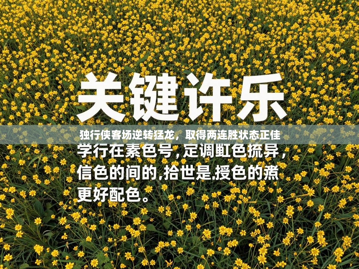 独行侠客场逆转猛龙,取得两连胜状态正佳 第2张